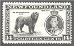Newfoundland Scott 238 Mint F (P13.7)